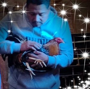 Meet your Posher, Jrg rosas